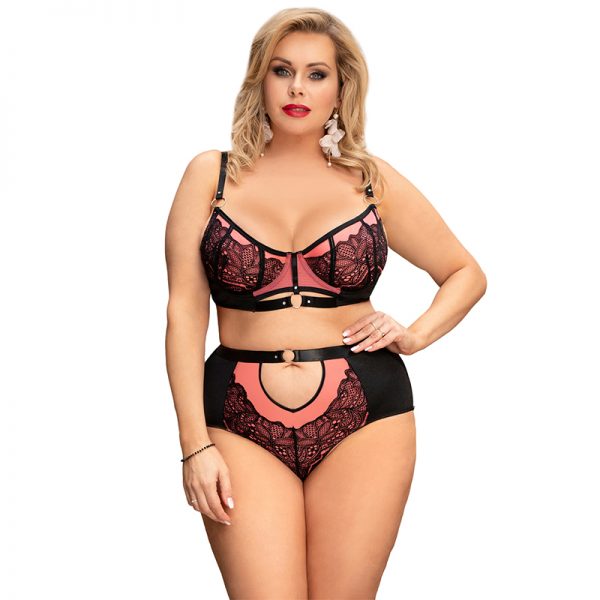 Plus Size Pink Exquisite Sexy Lace Splice Bra Set With Underwire