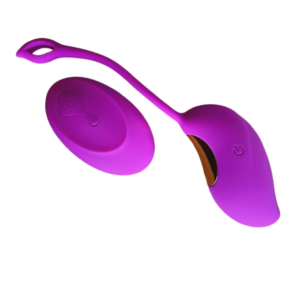 PlayHappy Remote Control Egg