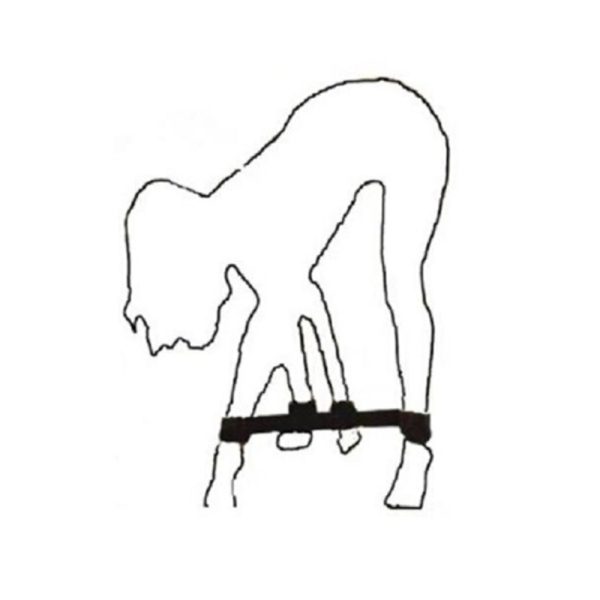 PlayHappy Wrist Ankle Cuffs - Image 3